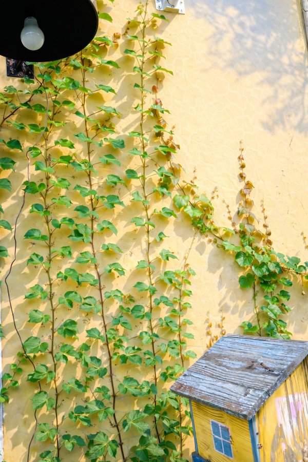 新竹築夢咖啡民宿